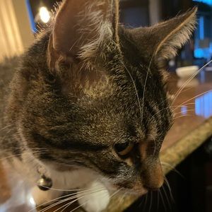 Meet your Posher, Amy